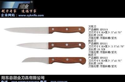 廚房刀具選購指南 水果刀、削皮刀與切片刀的全方位解讀